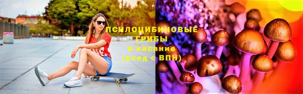 apvp Богданович