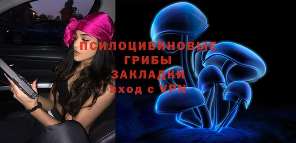 apvp Богданович