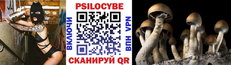 Псилоцибиновые грибы ЛСД  как найти закладки  Берёзовка 