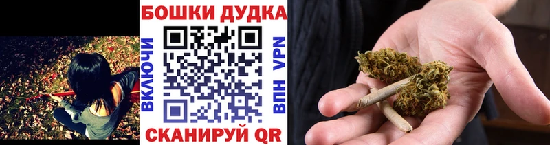 Канабис планчик  Берёзовка 